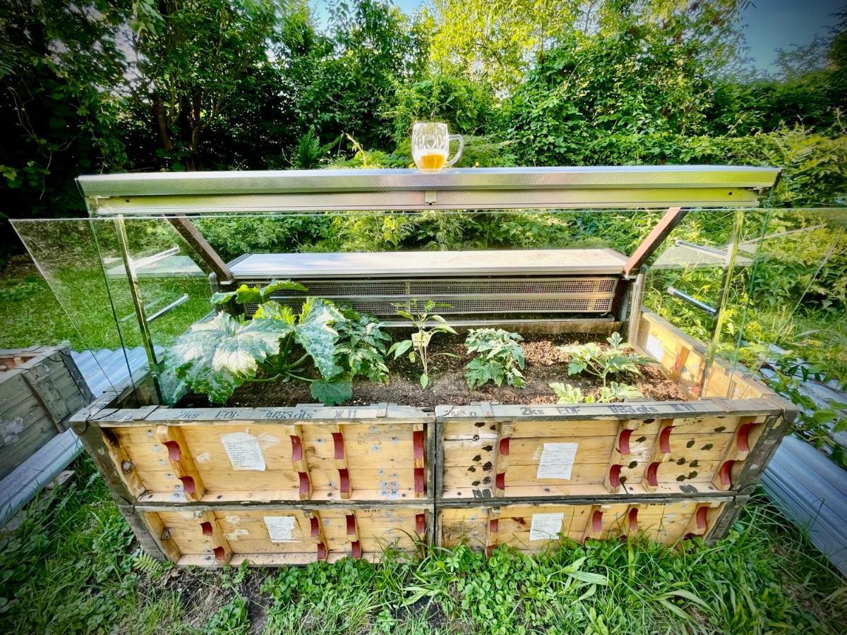 Haraburdi Recyclart Hotel Kostelec nad Orlicí 외부 사진